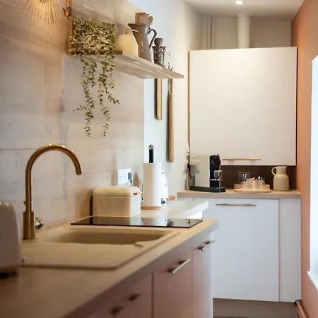 Hypercentre - Loge Buffon 公寓